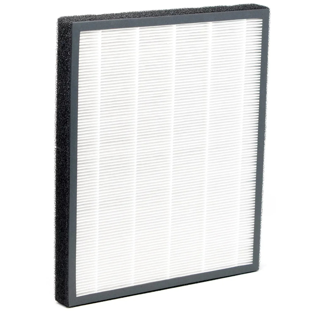 310A NaturoPure HF Filter Carbon / HEPA (XJ-3100A) Activated