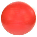 Gym w/ 75cm Ball Anti-Burst Pump-