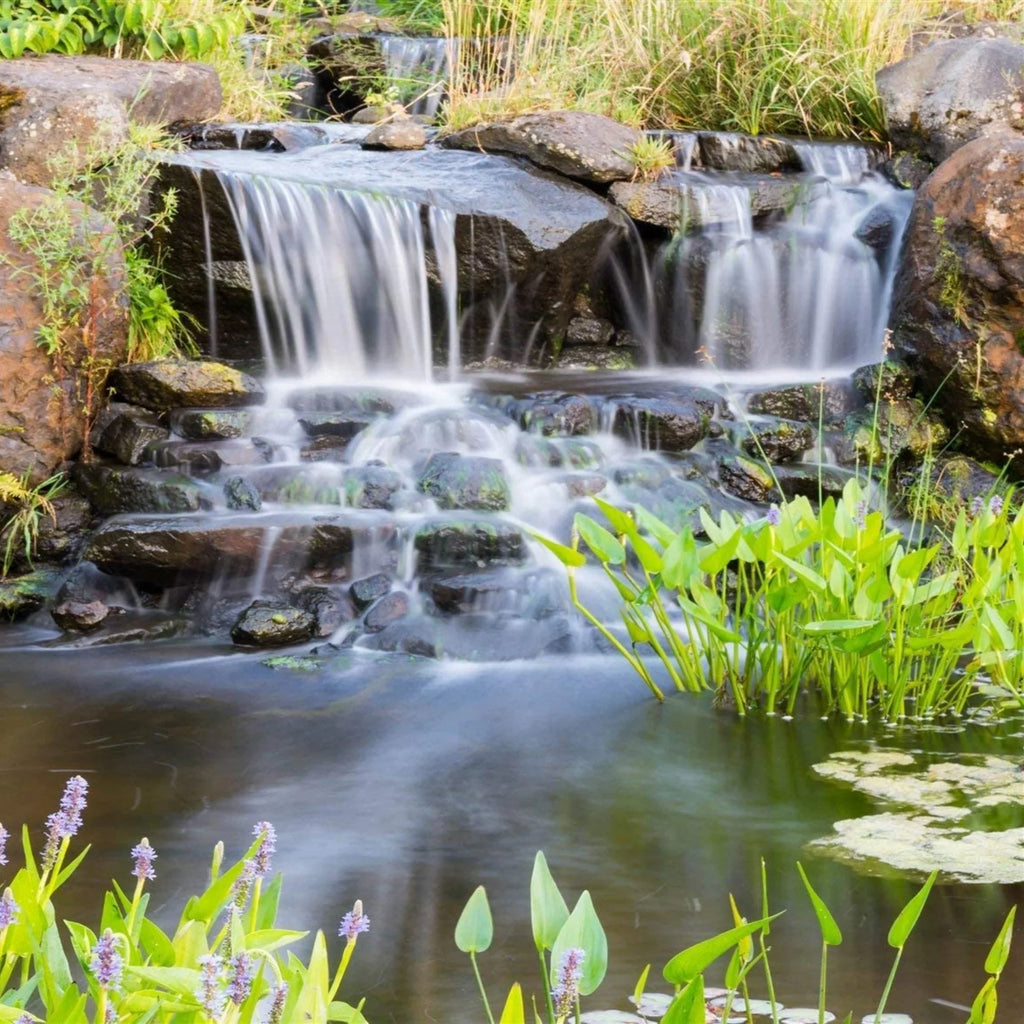 10,500 Waterfalls GPH Ponds Series Water Pump Piranha HALF Gardens, - PONDS for Direct OFF and Submersible Drive PN-10500