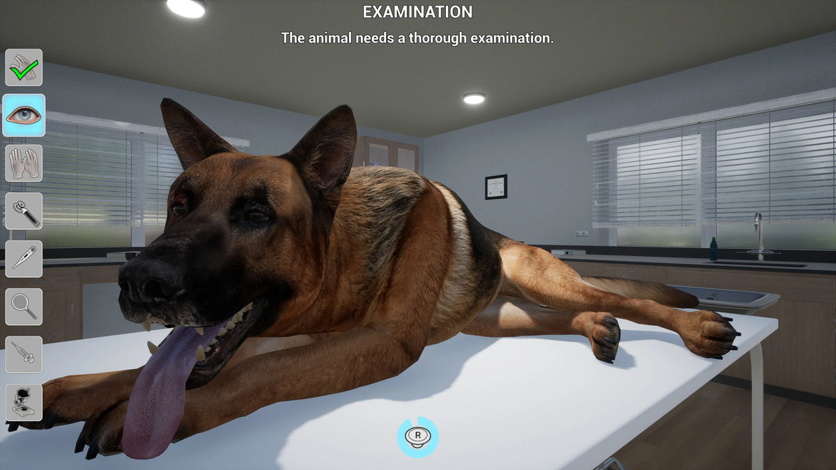 Vet, My 5 Pet Life: PlayStation