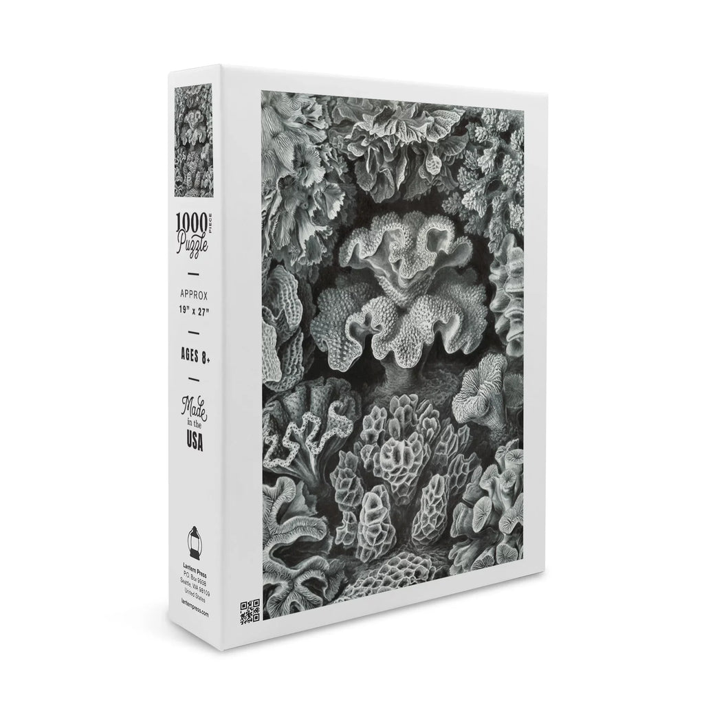 Size 19x27, Challenging and in Made Family, USA) Haeckel, Ernst for Hexacoralla Adults (1000 Puzzle Jigsaw Puzzle, Piece