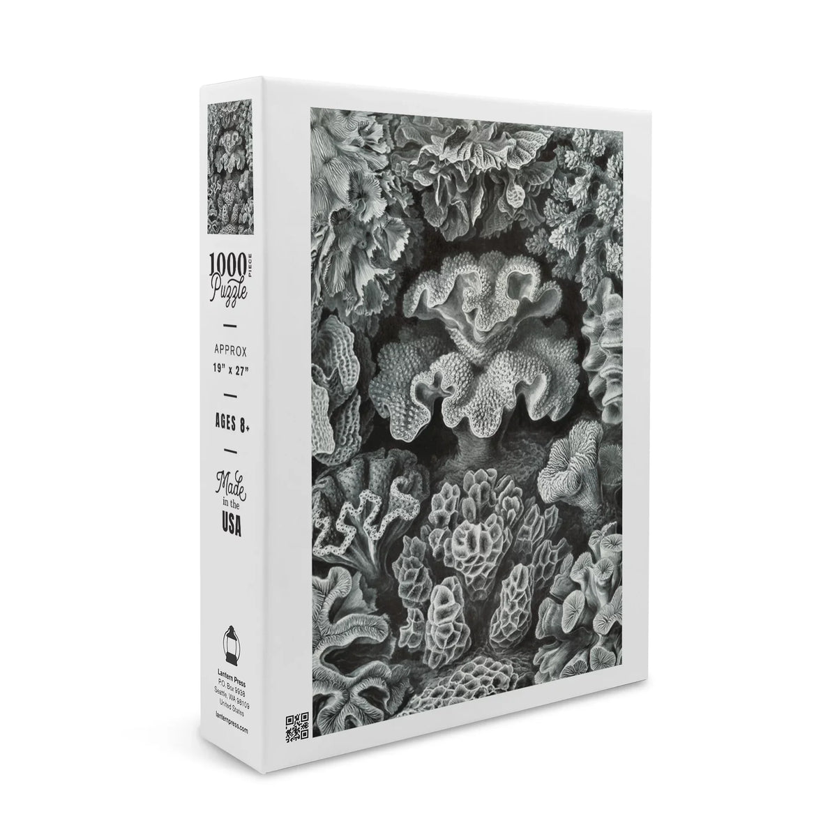 Size 19x27, Challenging and in Made Family, USA) Haeckel, Ernst for Hexacoralla Adults (1000 Puzzle Jigsaw Puzzle, Piece