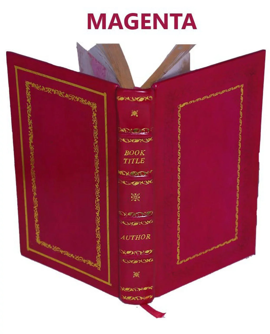 Leather Saunier, Bound] world, by of the Flammarion; Jean [Premium by Camille Geradin, Chovin, last Paul Laurens, the with Omega: days Rochegrosse, Méaulle, illustrations Vogel, T