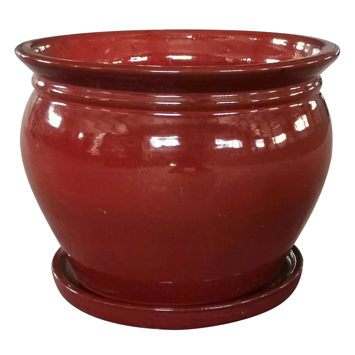 Wisteria Southern Pack) Saucer, Ceramic Patio 8" Planter (4 with Pot Round