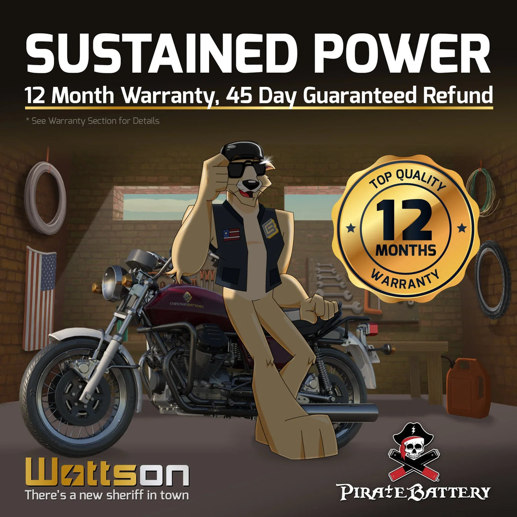 Motorcycle Shadow Volt,12 T CCA) YTX14-BS (14-BS (spirit, Battery A. C3, 12 Ah, Pirate C. E. Aero, Battery 1100cc Vt1100c, for 2007 200 Tourer) Honda
