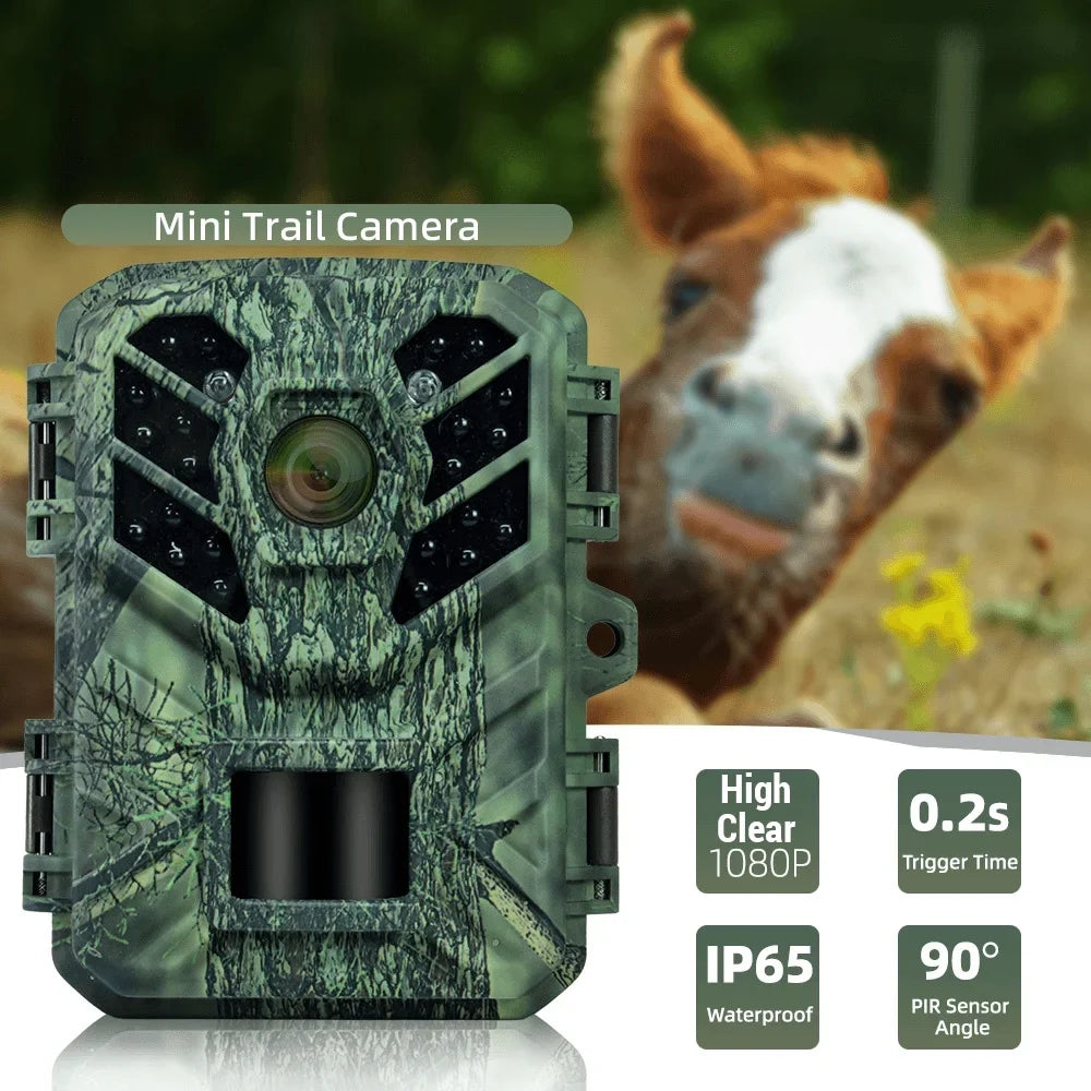 IP65 Motion Portable Portable Speed IP65 Camera Months Speed 0.2S Outdoor Camera,Weatherproof Camera Small Pristin Standby Animal/Plant Motion Weatherproof Use Camera 0.2S Camera 6 Vision