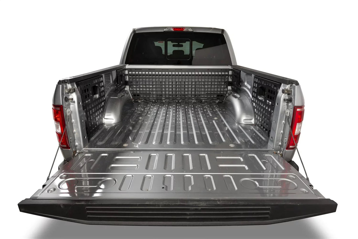 F-150 FORD 2019 2016-2018 Panel select: 195113 FORD F150 Fits Putco Fits SUPERCREW, F150 Molle 15-21