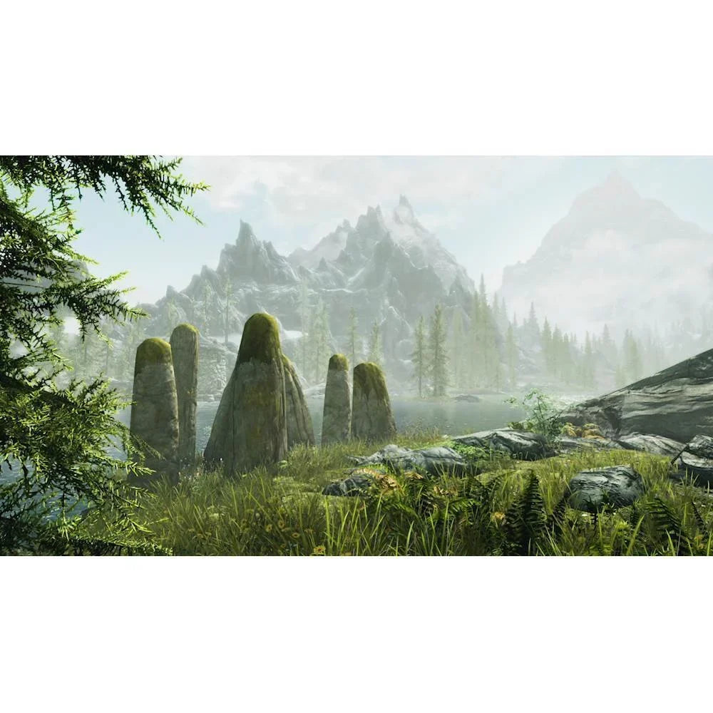 Elder Standard Edition V: - Scrolls Skyrim Nintendo Switch The