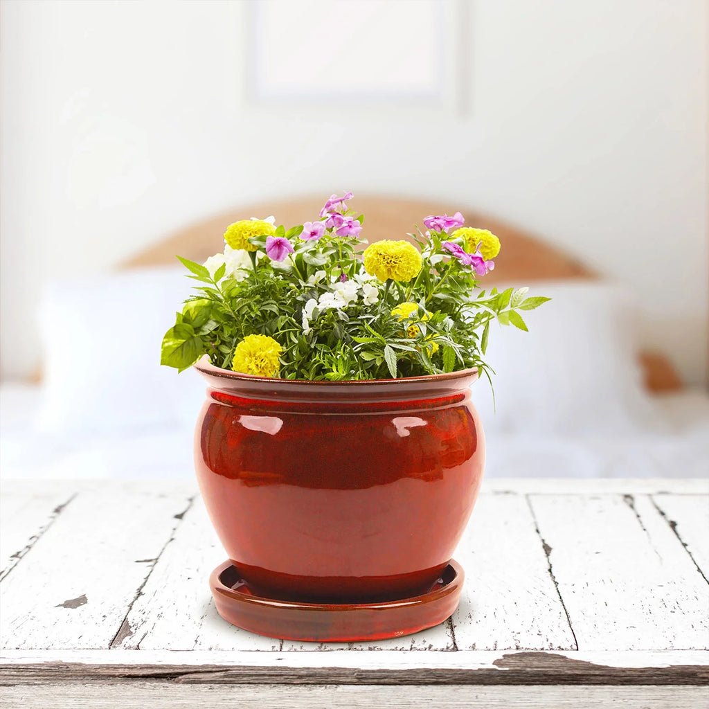 Wisteria Southern Pack) Saucer, Ceramic Patio 8" Planter (4 with Pot Round