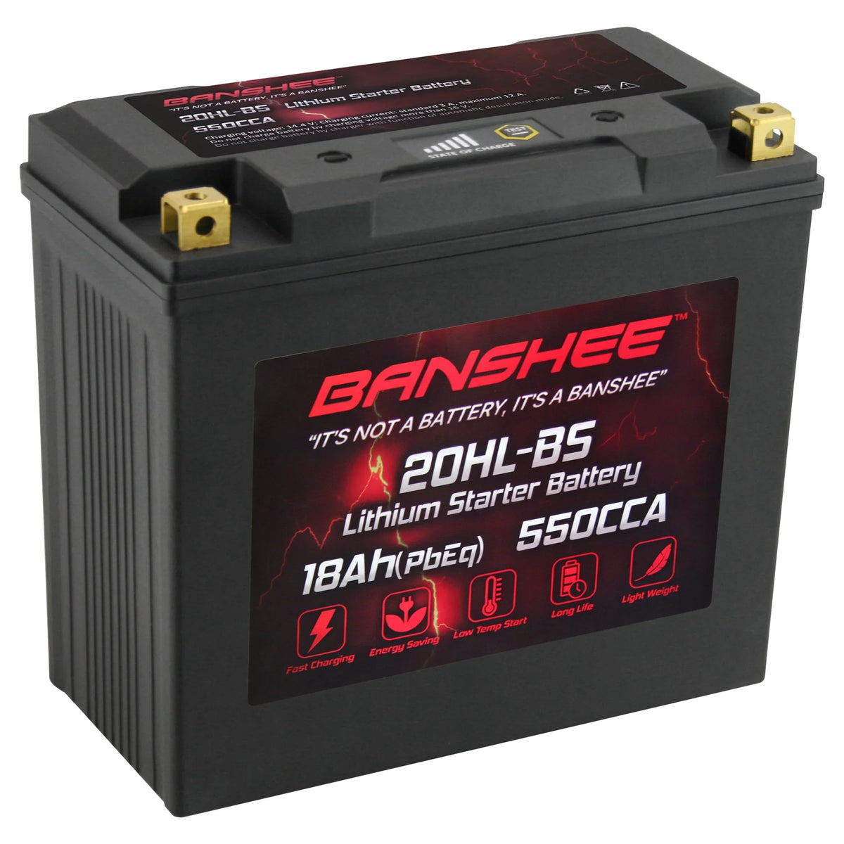 Banshee YTX20L-BS 2015 VX1100E Battery Yamaha with Motorsports LiFePO4 Compatible 2015 WaveRunner to V1